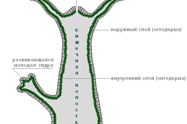 Как зайти на кракен kraken014 com